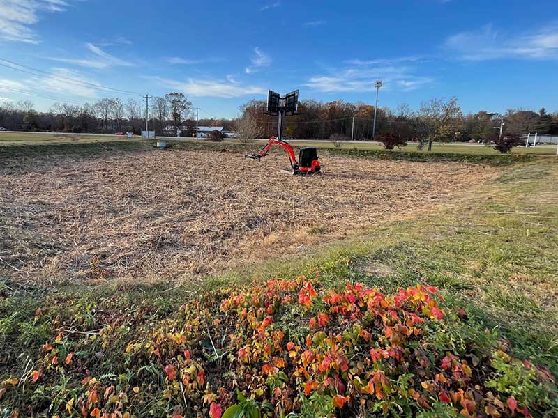 Vegetation Management