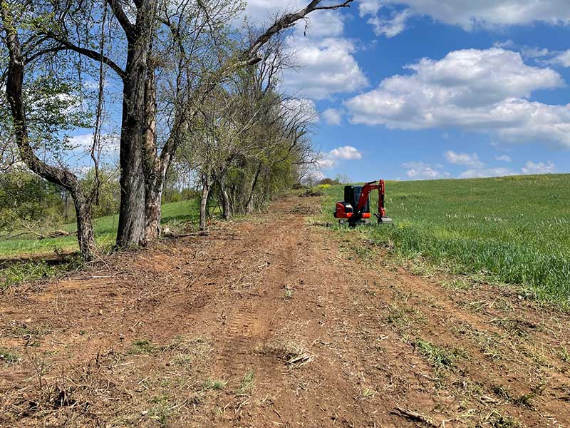 Vegetation Management