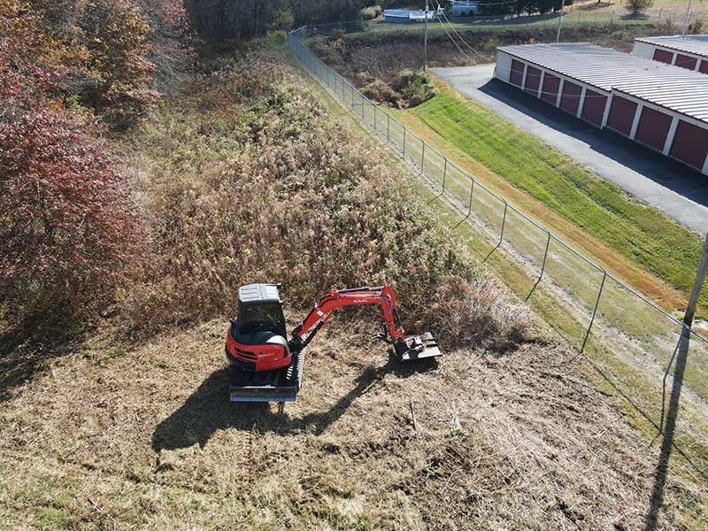 Vegetation Management